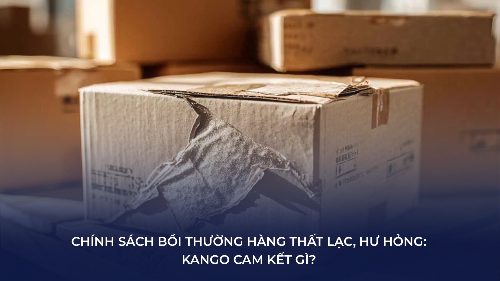 chính sách bồi thường hàng thất lạc hư hỏng KANGO